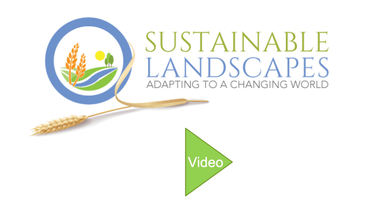 Good Soil Guide Sustainable Landscapes video, 